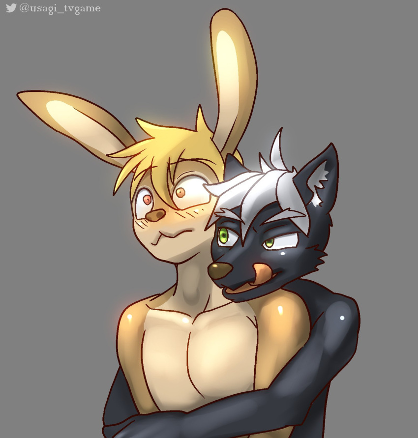 absurd_res anthro blush canid canine duo from_behind_position hi_res lagomorph leporid licking licking_lips male male/male mammal nude open_mouth rabbit rabbittakahashi self_lick sex tongue tongue_out