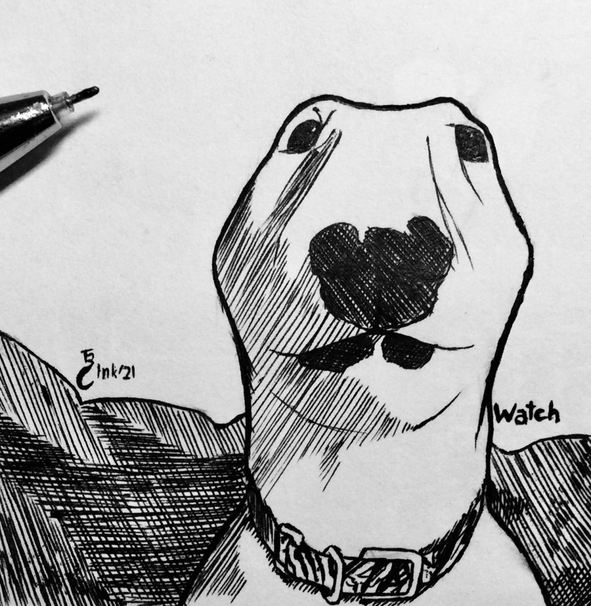 2021 black_and_white canid canine canis collar domestic_dog feral hi_res inktober inktober_2021 looking_at_viewer mammal monochrome solo theblueberrycarrots traditional_media_(artwork)