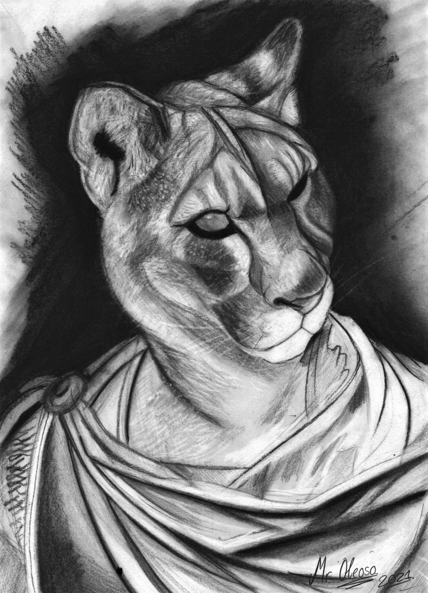 anthro bust_portrait charcoal_(artwork) cougar drapery felid feline hi_res male mammal monochrome mroleoso portrait sketch snout solo traditional_media_(artwork)