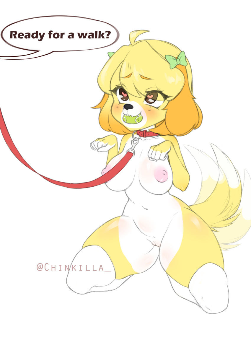 &lt;3 &lt;3_eyes &lt;3_pupils 2021 absurd_res animal_crossing anthro arms_bent ball ball_in_mouth begging begging_pose bent_legs bow_(knot) bow_accessory canid canine canis chinkilla collar dialogue domestic_dog ear_bow english_text female fur genitals hi_res isabelle_(animal_crossing) kneeling leash mammal mostly_nude mouth_hold nintendo nude object_in_mouth offscreen_character petplay pink_pupils pose pupils pussy raised_hand red_collar red_leash roleplay shih_tzu short_snout simple_background snout solo speech_bubble submissive submissive_female symbol-shaped_pupils tail_motion tailwag tennis_ball tennis_ball_in_mouth text toy_dog tucked_arms twin_bows twin_ear_bows unusual_pupils video_games white_background yellow_body yellow_fur