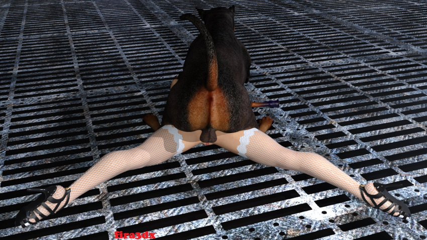 16:9 3d_(artwork) anal anal_penetration anus balls bestiality canid canine canis clothing digital_media_(artwork) domestic_dog dominant dominant_feral dominant_male duo female female_on_bottom female_on_feral female_penetrated feral feral_on_top feral_penetrating feral_penetrating_human fira3dx fishnet_thigh_highs from_behind_position genitals hi_res high_heels human human_on_bottom human_on_feral human_penetrated interspecies jockey_position legwear lying male male/female male_on_top male_penetrating male_penetrating_female mammal milana on_bottom on_front on_top penetration penile penile_penetration penis_in_ass rear_view sex spread_legs spreading stockings thigh_highs white_clothing white_legwear white_thigh_highs widescreen