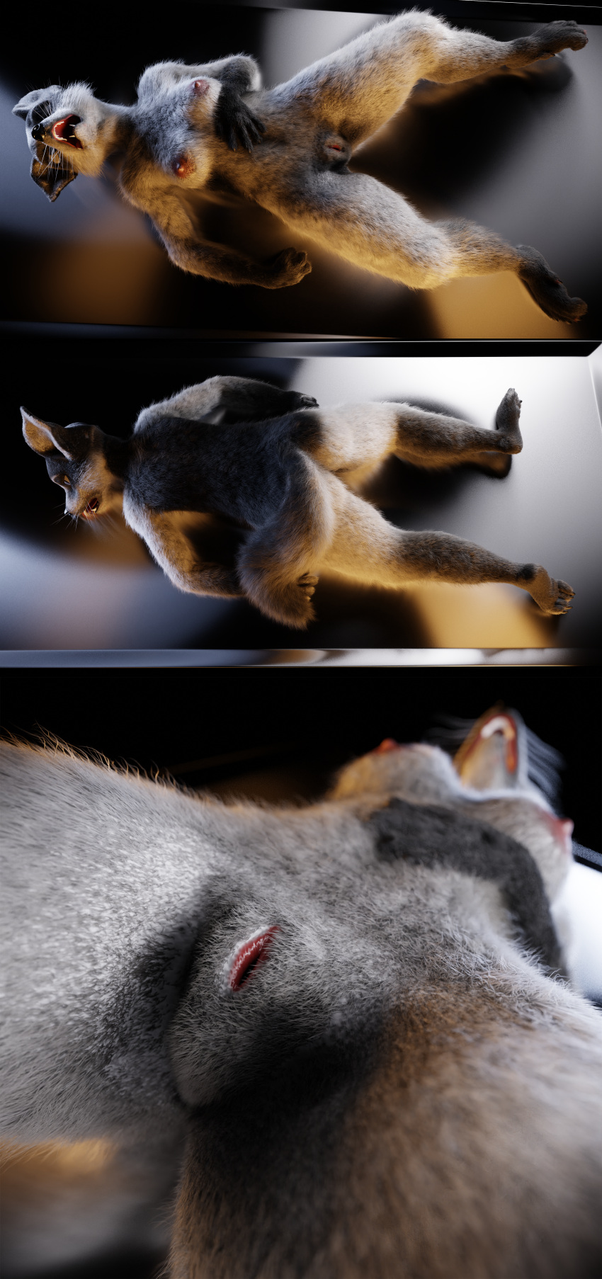 3d_(artwork) absurd_res anthro ascaniololololol barefoot breasts butt canid canine canis claws death digital_media_(artwork) domestic_dog feet female fingers fur genitals hi_res huge_filesize limp mammal nipples nude open_mouth paws pussy snuff solo toes
