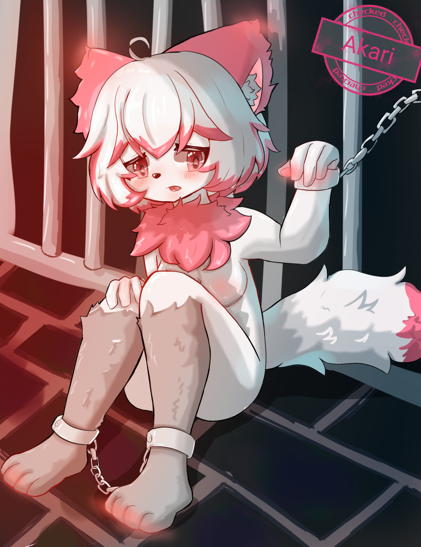 absurd_res akari anthro breasts chain chained chained_cuffs chest_floof chest_tuft dipstick_tail english_text female fur hair hi_res highlights_(coloring) humanoid kemono markings metal_bar neck_floof neck_fur nude red_eyes red_hair red_highlights restraints shackled shackles shackles_only solo tail_markings text tuft white_body white_fur white_hair