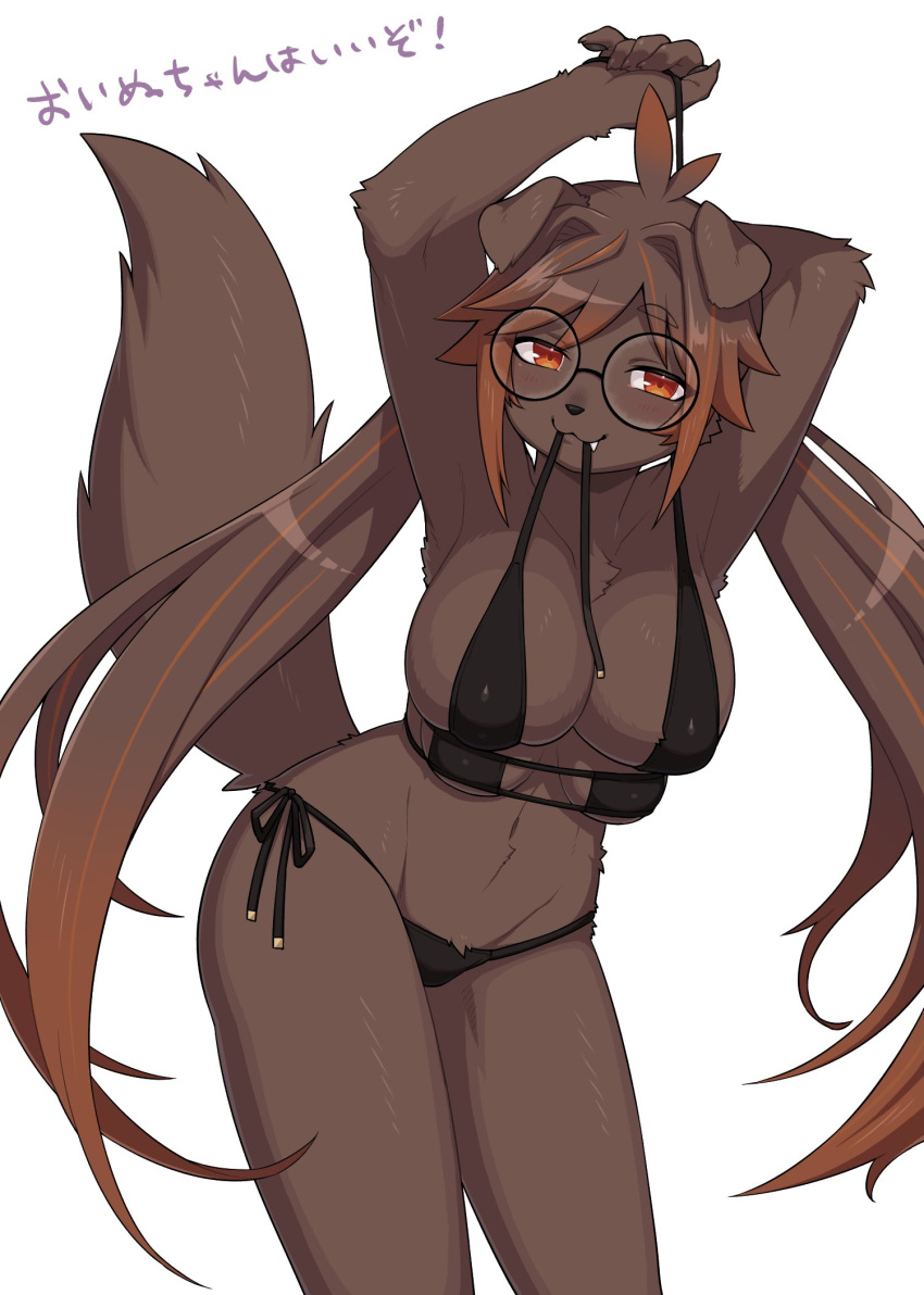 2021 4_breasts 5_fingers anthro big_breasts bikini black_nose blush breasts brown_body brown_fur brown_hair canid canine canis claws cleavage clothed clothing cute_fangs domestic_dog eyewear female finger_claws fingers floppy_ears fur glasses good_girl hair half-closed_eyes hi_res japanese_text kemono long_hair looking_at_viewer mammal multi_breast multicolored_hair narrowed_eyes navel orange_eyes portrait raised_arms round_glasses skindentation solo swimwear text three-quarter_portrait translated twintails_(hairstyle) yamame513