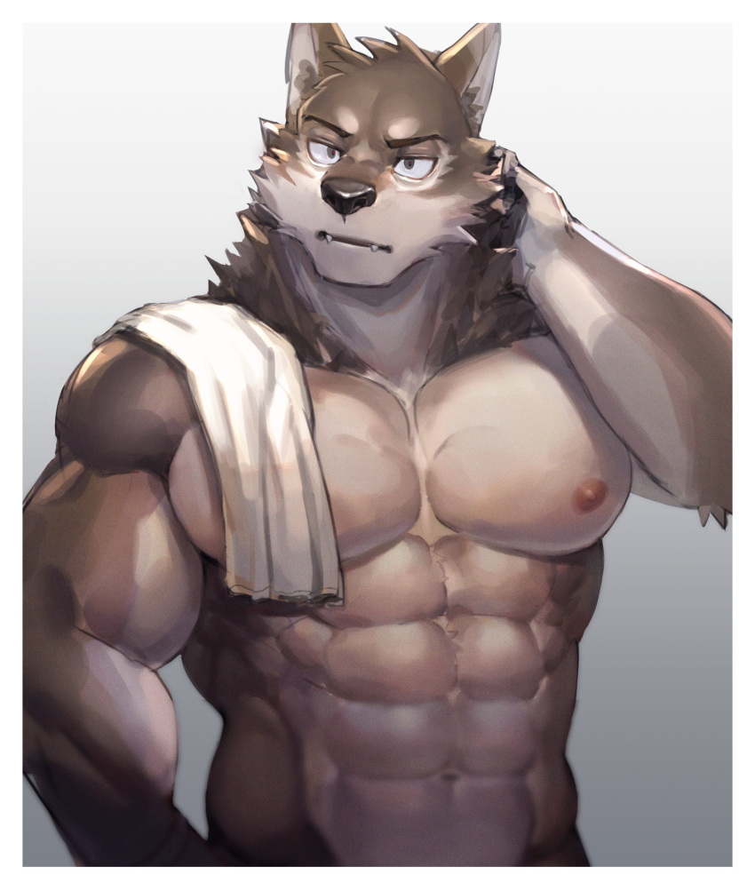 2021 abs absurd_res anthro barazoku canid canine fur hi_res male mammal muscular muscular_anthro muscular_male neumokun nipples pecs solo