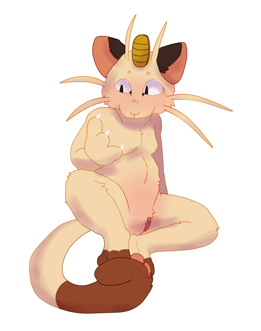 alpha_channel anthro battycat blush body_blush claws claws_out female genitals hi_res looking_down meowth nintendo pok&eacute;mon pok&eacute;mon_(species) pussy pussy_blush sitting solo tuft video_games whisker_tuft
