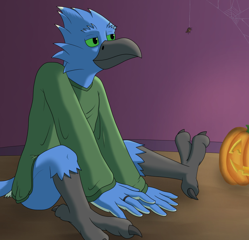 absurd_res anthro arachnid arthropod avian beak birbdrain bird blue_body blue_feathers bluebird cel_shading clothed clothing digital_drawing_(artwork) digital_media_(artwork) feather_hands feathers green_eyes green_sclera hi_res jack-o'-lantern male oscine partially_clothed passerine ring shaded sitting sitting_on_floor solo spider spider_web sweater talons thrush_(bird) topwear white_body white_feathers
