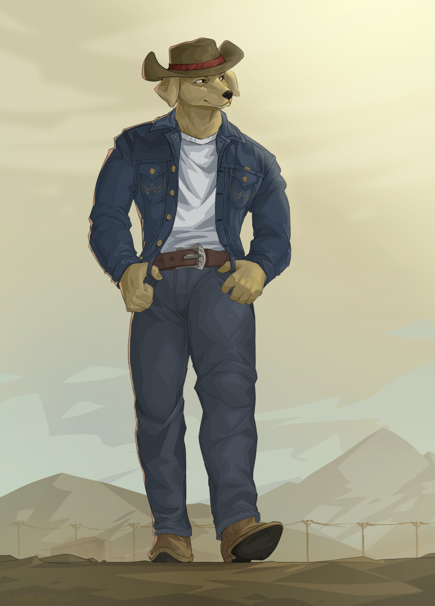 absurd_res biped boots canid canine canis clothed clothing cowboy_boots cowboy_hat cowboy_outfit day detailed_background digital_media_(artwork) digital_painting_(artwork) domestic_dog fluffy_cactus footwear front_view full-length_portrait fully_clothed hat headgear headwear hi_res male mammal outside portrait shaded yellow_theme