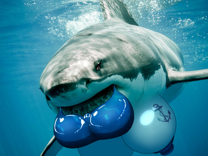 4:3 beady_eyes big_breasts big_nipples bimbo_lip breasts busty_feral cursed cursed_image edit eyelashes female feral fin fish hi_res hyper hyper_lips kingjion lips long_eyelashes marine nipples open_mouth photo_manipulation shark sharp_teeth swimming tattoo teeth thick_lips water what what_has_science_done why