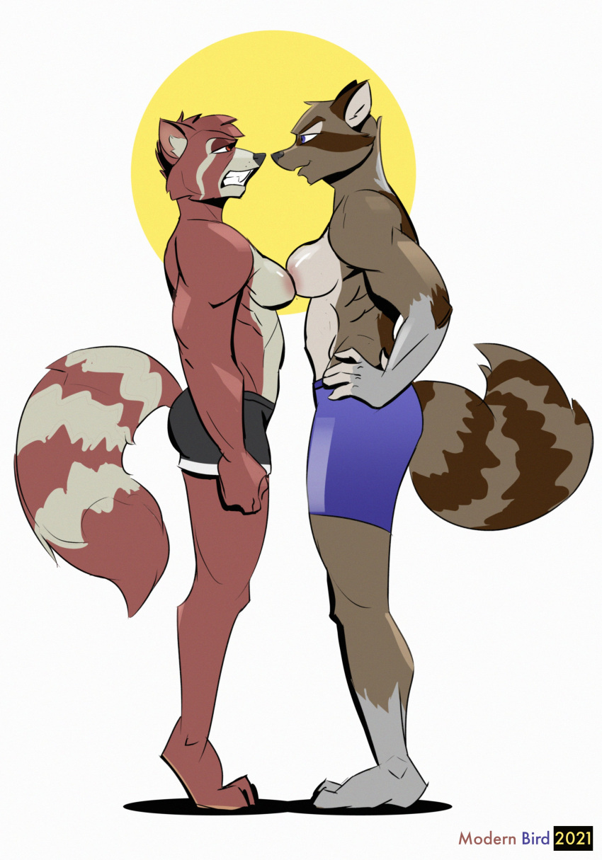 2021 5_fingers absurd_res anthro athletic athletic_anthro athletic_female barefoot black_nose blue_eyes bottomwear breast_squish breasts breasts_frottage brown_body brown_eyes brown_fur butt claws clenched_teeth clothed clothing confident duo eye_contact face_to_face faceoff facial_markings feet female female/female fingers frown fur hand_on_hip hand_on_own_hip hands_on_hips head_markings hi_res hindpaw humanoid_hands larger_female looking_at_another mammal marina_kaisbach markings mask_(marking) maxi_(demondawgy96) modern_bird partially_clothed paws plantigrade procyonid raccoon ring_(marking) ringtail scowl shorts signature size_difference smaller_female smile squish standing standing_on_toes tail_markings teeth toe_claws toes topless topless_female