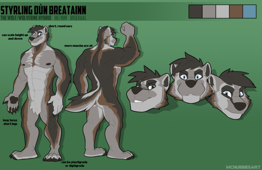 2021 5_fingers abs anthro back_muscles biceps blue_eyes brown_body brown_fur brown_hair butt canid canine canis color_swatch crotch_tuft disembodied_head english_text fingers flexing fur grey_body grey_fur gulonine hair hybrid looking_at_viewer male mammal mcnubbies model_sheet muscular muscular_anthro muscular_male mustelid musteline nipples pawpads paws pecs pose quads smile solo styrling teeth text tuft wolf wolverine