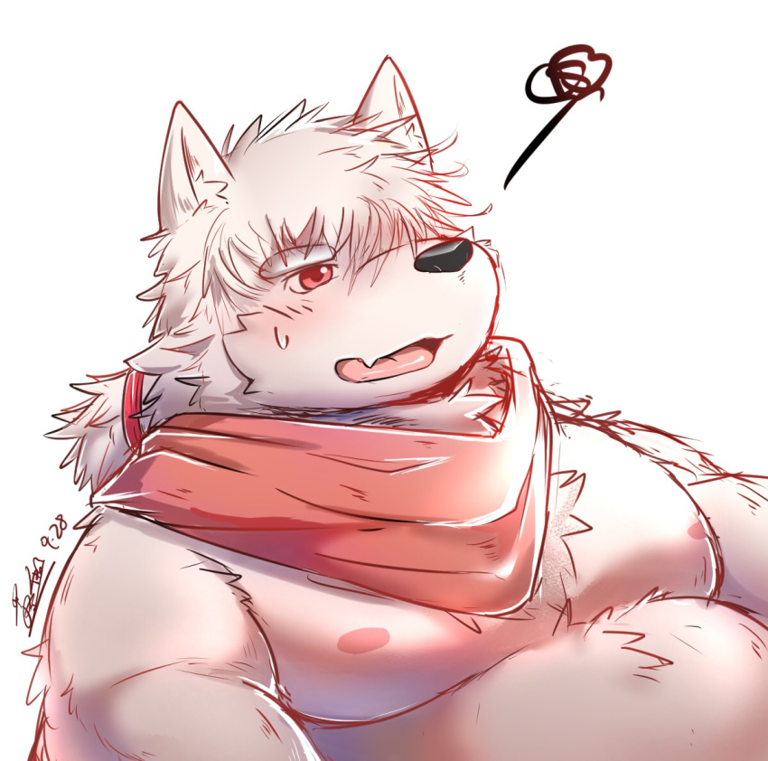 2021 anthro belly black_nose blush cai_yuwang canid canine canis domestic_dog kemono male mammal moobs nipples overweight overweight_male sandy18569215 simple_background solo white_background