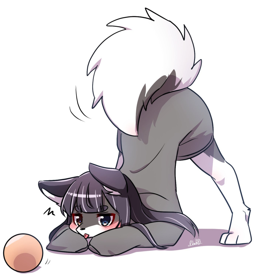 2021 3_toes anthro ass_up ball black_hair blep blue_eyes blush canid canine canis clothing domestic_dog feet female fur grey_body grey_clothing grey_fur grey_shirt grey_topwear hair hi_res jack-o'_pose kemono long_hair long_sleeves mammal multicolored_body multicolored_fur nachiwanko orange_ball pose raised_tail shirt simple_background snout solo toes tongue tongue_out topwear two_tone_body two_tone_fur white_background white_body white_fur