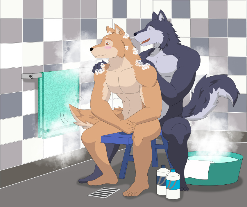 2020 absurd_res anthro artsywoodpecker assisted_bathing bathroom blush brown_body brown_eyes brown_fur canid canine canis covering covering_crotch covering_self digital_media_(artwork) domestic_dog duo embarrassed fur grey_body grey_fur hands_on_shoulders happy hi_res husky male male/male mammal multicolored_body multicolored_fur muscular muscular_anthro muscular_male nordic_sled_dog nude open_mouth open_smile shiba_inu shoichi_urata siberian_husky sitting smile spitz steam suds tail_motion tailwag tennis_ace two_tone_body two_tone_fur video_games visual_novel yuuichi_michimiya