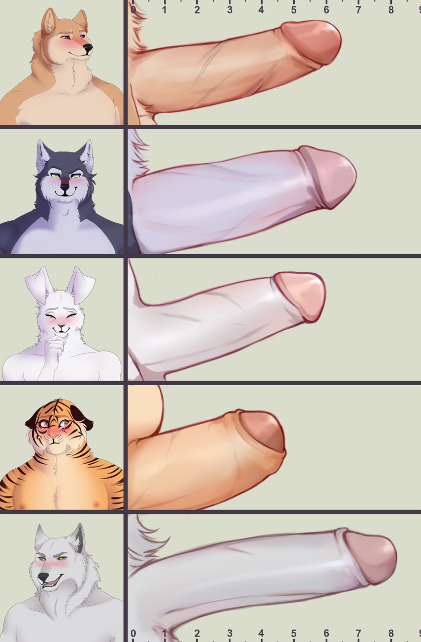 2021 absurd_res anthro big_penis blush canid canine canis chart chode chubby_penis comparing comparing_penis digital_media_(artwork) domestic_dog embarrassed erection eyes_closed felid foreskin genitals group hare haruki_koizumi hi_res humanoid_genitalia humanoid_penis husky jun_kobayashi keisuke_urushihara lagomorph leporid long_penis male mammal measuring measuring_penis naughty_face nipples nordic_sled_dog nyaruh pantherine partially_retracted_foreskin penis penis_lineup penis_size_chart retracted_foreskin shiba_inu shoichi_urata siberian_husky smile smirk spitz tennis_ace thick_penis tiger video_games visual_novel wolf yuuichi_michimiya