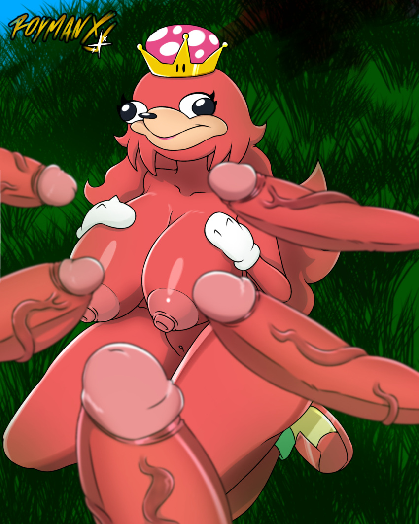 2019 4:5 absurd_res anthro areola artist_name big_areola big_breasts big_penis breasts clothing crown curvy_figure detailed_background digital_media_(artwork) echidna eyelashes feet female footwear fur genitals gloves group hair handwear hi_res hourglass_figure huge_breasts huge_penis kneeling knuckles_the_echidna lips mammal mario_bros meme monotreme multicolored_body multicolored_fur nintendo nipples nude outside penis pussy red_body red_fur red_hair roymanx sega shoes simple_eyes smile sonic_the_hedgehog_(series) super_crown tan_body tan_fur thick_thighs ugandan_knuckles vein veiny_penis video_games voluptuous wide_hips