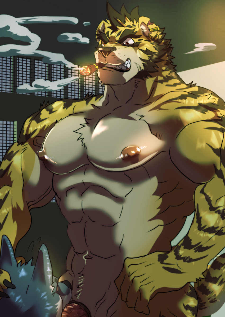 abs canid canine canis cigar cigar_in_mouth duo ear_piercing ear_ring felid fur grey_body grey_fur hand_on_head hi_res male male/male mammal muscular muscular_male nipples oral pantherine pecs piercing ron9 smoke smoking stripes tiger wolf yellow_body yellow_fur