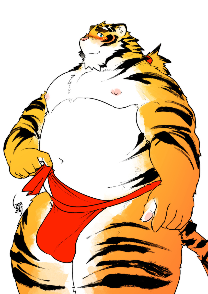 2018 absurd_res anthro asian_clothing belly blush bulge clothing east_asian_clothing felid fundoshi fur hi_res higemorigen humanoid_hands japanese_clothing kemono male mammal moobs navel nipples overweight overweight_male pantherine red_clothing red_fundoshi red_underwear simple_background solo tiger underwear white_background white_body white_fur yellow_body yellow_fur