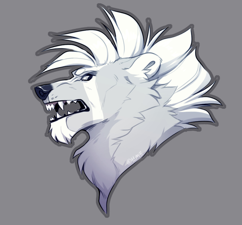 anthro arctic_wolf bruma_(house) canid canine canis cel_shading facial_hair fangs fangs_bared fur grey_body grey_fur hair headshot_portrait hybrid icon limesquares mammal markings mohawk polar_bear portrait round_ears shaded snarling solo ursid ursine white_hair white_markings wolf