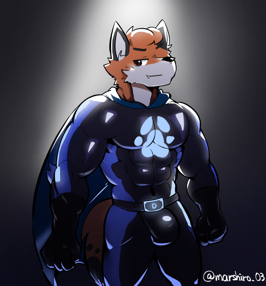 absurd_res canid canine fox hero hi_res male mammal marshiro solo superhero