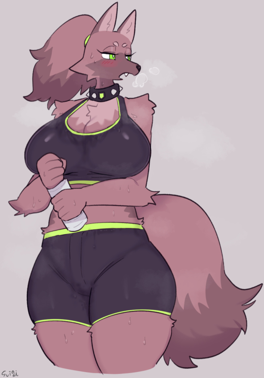 anthro big_breasts bodily_fluids bottomwear bra breasts canid canine canis clothed clothing collar digital_media_(artwork) domestic_dog female female_focus green_eyes gym_bottomwear gym_clothing gym_shorts hair hi_res kemono looking_away mammal ponytail shaded shorts simple_background solo spiked_collar spikes sports_bra standing sususuigi sweat sweatdrop thick_thighs underwear water_bottle