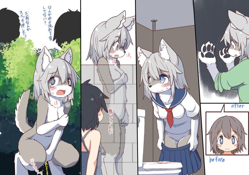 anthro before_and_after blush bodily_fluids breasts canid canine canis clothing colored detailed_background embarrassed female fur genital_fluids grey_body grey_fur grey_hair hair hand_on_breast hi_res human human_to_anthro japanese_text koorinezumi mammal nude paws peeing school_uniform solo species_transformation tears text toilet transformation translated uniform urine urine_stream wolf young