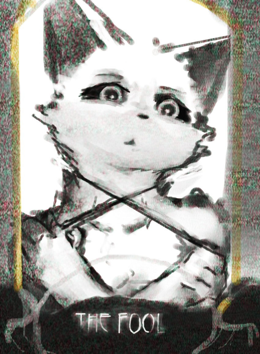 ambiguous_gender anthro card ears_up felid feline fur grainy grasp hi_res holding_object key_rooki looking_at_viewer major_arcana mammal solo tarot_card the_fool_(tarot) white_body white_fur