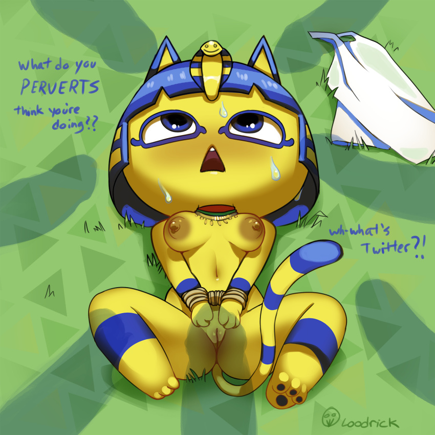 1:1 animal_crossing ankha_(animal_crossing) anthro arms_tied bodily_fluids bound breasts disembodied_penis domestic_cat english_text felid feline felis female genitals group hi_res loodrick lying male mammal nintendo nude on_back paws penis penis_shadow pussy rope shadow spread_legs spreading sweat text video_games