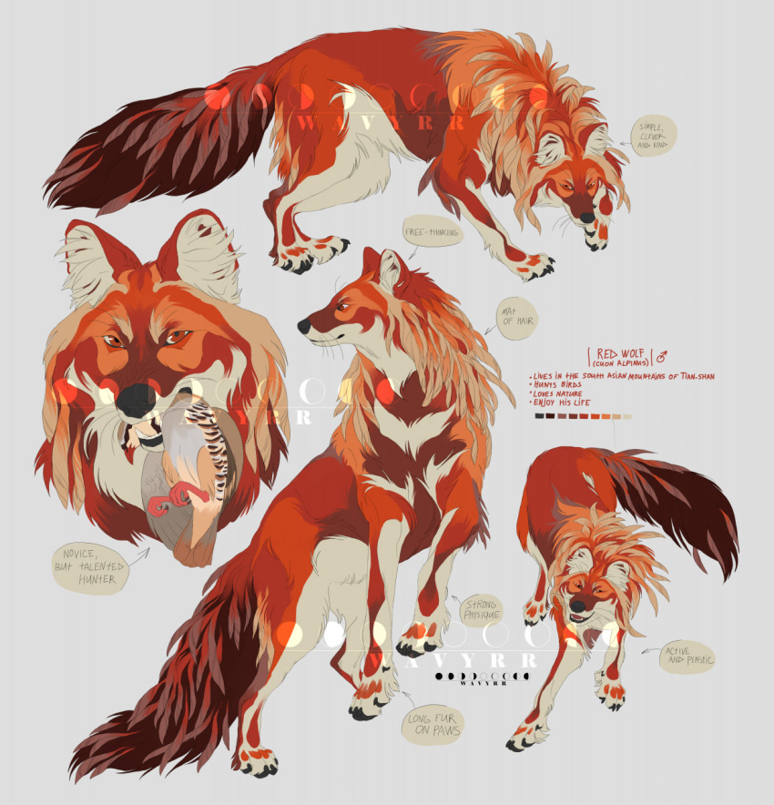 2021 ambiguous_gender black_nose brown_body brown_fur canid canine digital_media_(artwork) english_text feral fur hi_res looking_at_viewer mammal open_mouth orange_body orange_fur red_body red_fur solo teeth text tongue wavyrr white_body white_fur