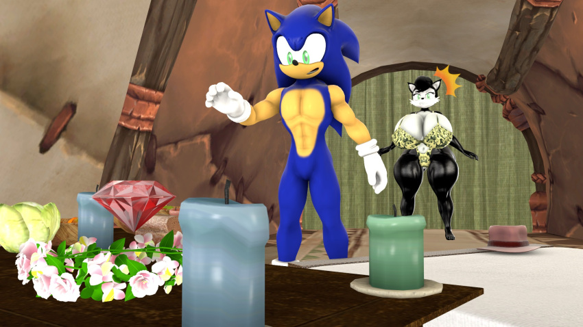 16:9 anthro big_breasts blueapple breasts candle chaos_emerald duo female hershey_the_cat hi_res huge_breasts humanoid male male/female reef_(disambiguation) sega shrine sonic_the_hedgehog sonic_the_hedgehog_(series) tagme widescreen