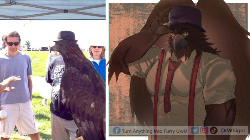 2021 accipitrid accipitriform anthro anthrofied avian beak bird brown_body brown_feathers clothing dr.whiger dress_shirt eagle eyewear feathers feral glasses group hat hat_tip headgear headwear hi_res human looking_at_viewer male mammal muscular muscular_anthro muscular_male necktie photo shirt smile solo_focus suspenders text topwear url watermark wings