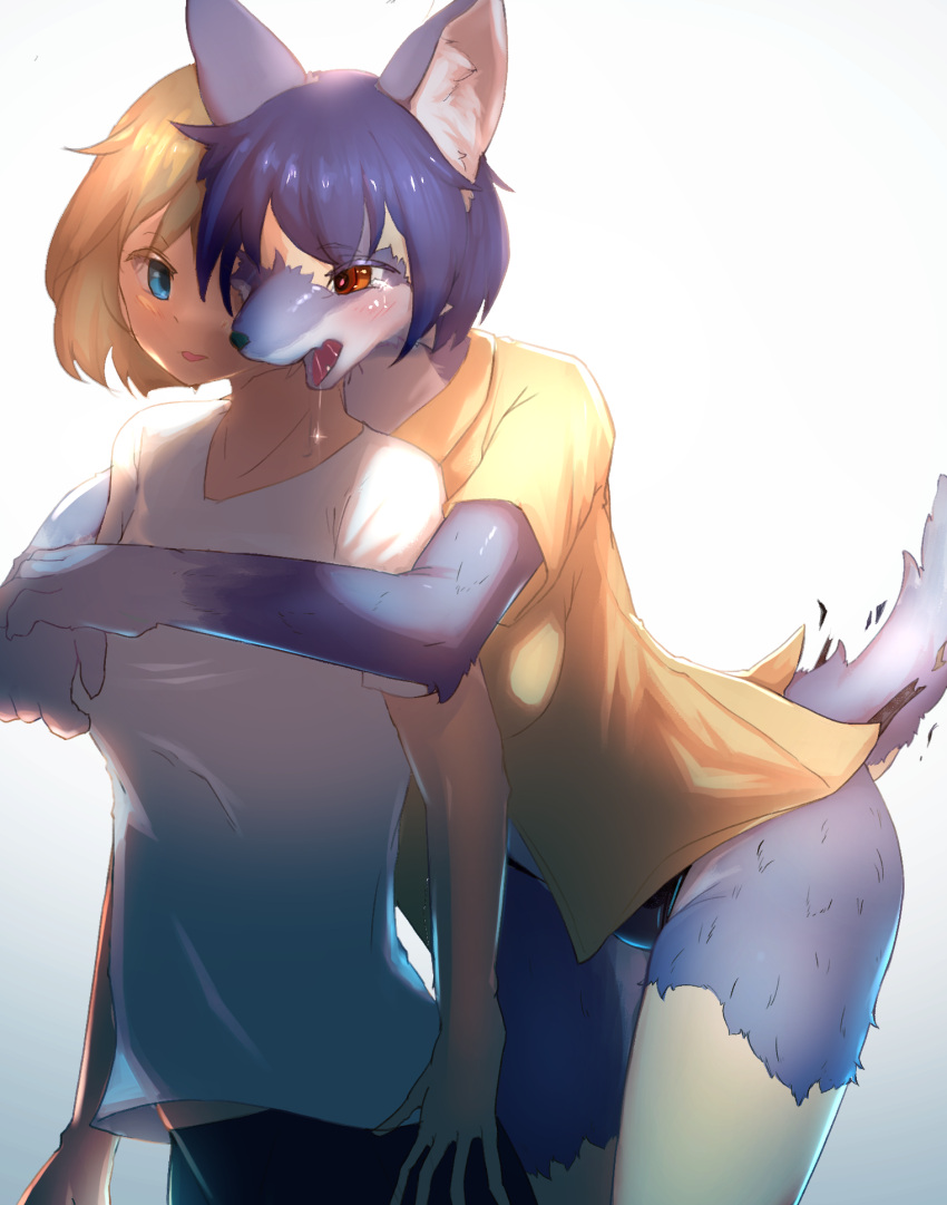 alternate_version_at_source anthro black_bottomwear black_clothing black_shorts blonde_hair blue_body blue_eyes blue_fur blue_hair blush bodily_fluids bottomwear breasts canid canine canis cheek_tuft clothing drooling duo embrace facial_tuft female female/female fur fur_growth gloves_(marking) growth hair hi_res hug hugging_from_behind human human_to_anthro inner_ear_fluff kemono looking_at_another mammal markings mid_transformation open_mouth orange_eyes panties raaggu saliva saliva_string shaded shirt shorts simple_background snout species_transformation tail_burst tears tongue topwear torn_clothing transformation tuft underwear white_background white_clothing white_shirt white_topwear wolf yellow_clothing yellow_shirt yellow_topwear