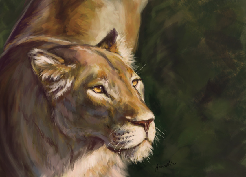 anoroth digital_media_(artwork) felid female feral front_view fur lion mammal nature nature_background pantherine realistic solo study walking whiskers