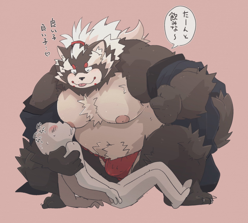 2021 anthro asian_clothing blush bodily_fluids brown_body brown_fur bulge canid canine clothing drooling dumdum duo east_asian_clothing fundoshi fur goemon_(tas) hair hi_res holding_partner human human_on_anthro interspecies japanese_clothing japanese_text larger_anthro lifewonders long_hair male male/male mammal mostly_nude nipple_fetish nipple_play nipple_suck overweight pecs ponytail raccoon_dog saliva size_difference smaller_human sucking sweat tanuki text tokyo_afterschool_summoners underwear video_games white_hair