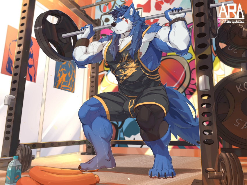 anthro athletic band barbell barefoot black_clothing blue_body blue_hair bodily_fluids canid canine canis clothing detailed_background exercise feet gym gym_clothing hair littleblackalas male mammal muscular red_eyes solo sweat vein veiny_muscles weightlifting white_chest wolf workout