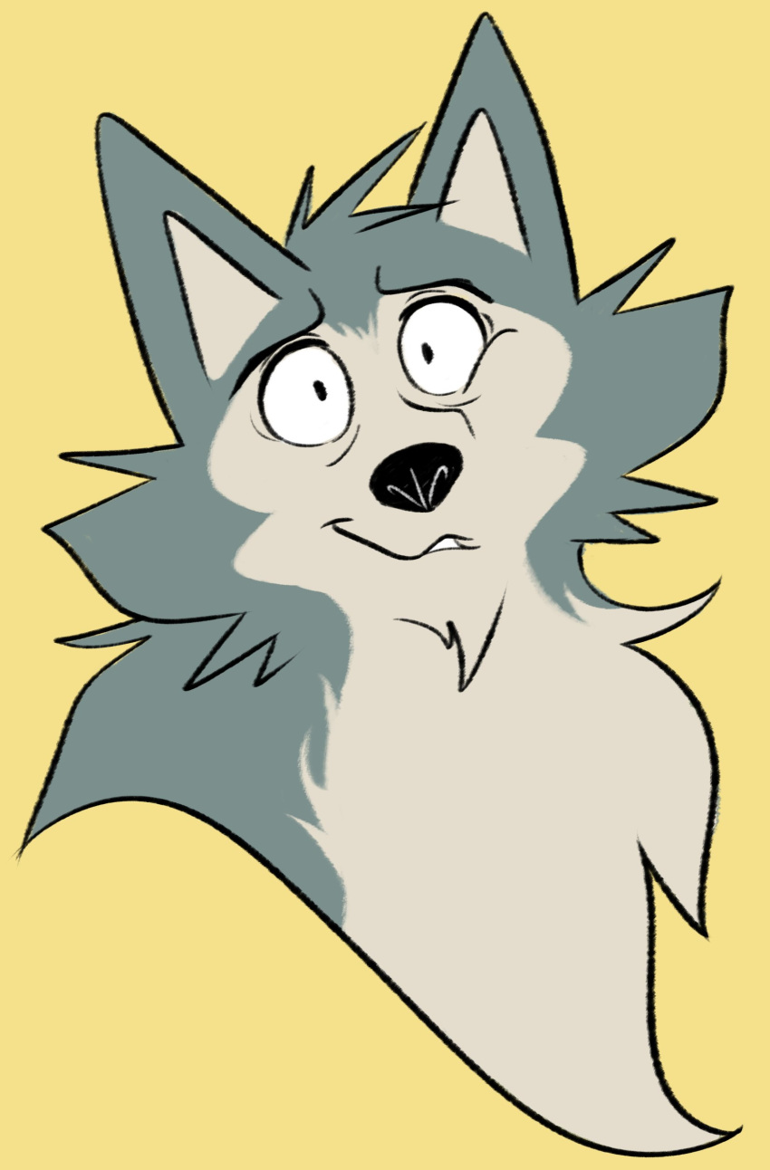 2021 absurd_res anthro beastars canid canine canis edtertainerd fur grey_body grey_fur headshot_portrait hi_res icon legoshi_(beastars) male mammal portrait simple_background solo wolf