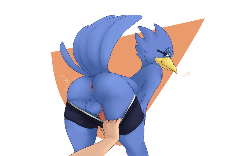 &lt;3 5_fingers anus assisted_exposure avian backsack balls beak bent_over berdly bird blue_balls blue_body blue_feathers blue_perineum bottomwear bottomwear_only bottomwear_pull butt clothed clothing clothing_pull deltarune eyewear feathers fingers genitals glasses half-closed_eyes hi_res human krimble looking_at_viewer looking_back male mammal narrowed_eyes pantsing perineum presenting presenting_anus presenting_hindquarters raised_tail shorts simple_background smile solo_focus tail_feathers topless undertale_(series) video_games wings yellow_beak