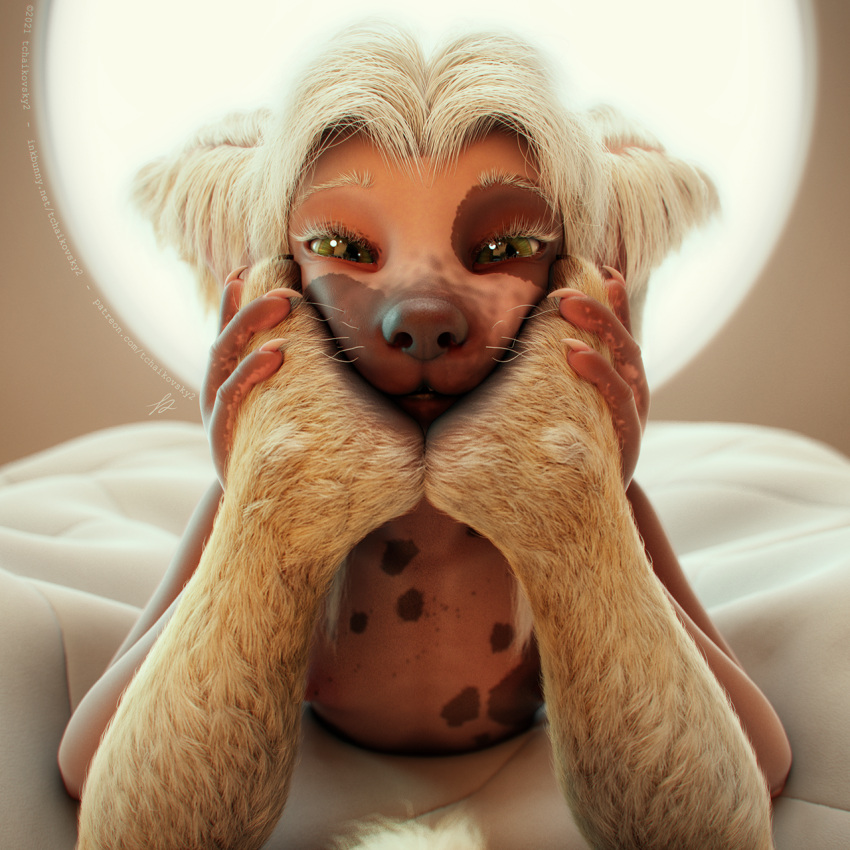 1:1 3d_(artwork) amber_(bear) american_black_bear anthro bed black_bear canid canine canis chinese_crested_dog claws digital_media_(artwork) domestic_dog duo feet female female/female foot_focus foot_on_face furniture hair hairless hairless_dog hi_res jinjing-yu looking_at_viewer mammal nipples on_bed paws smile tchaikovsky2 toy_dog ursid ursine white_hair