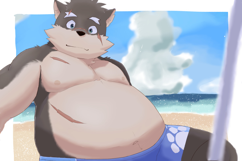 3:2 absurd_res anthro beach belly bottomwear canid canine canis clothing domestic_dog hi_res lifewonders male mammal moritaka navel overweight overweight_male sand scar sea seaside shorts solo suro964708 swimwear tokyo_afterschool_summoners video_games water