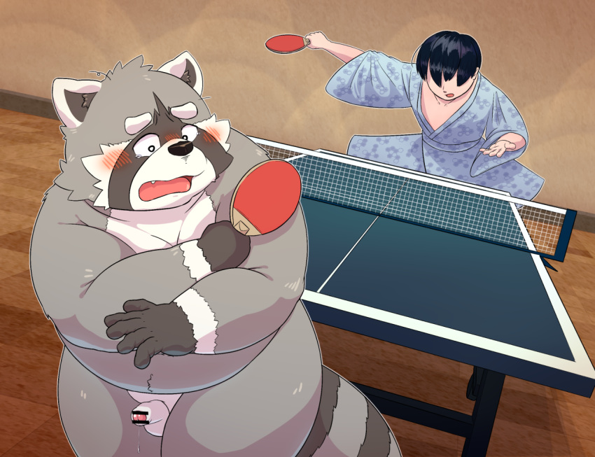 2021 anthro asian_clothing balls blue_eyes blush censored clothing detailed_background duo east_asian_clothing fur genitals grey_body grey_fur human humanoid_genitalia humanoid_hands humanoid_penis japanese_clothing k_gutless kemono male mammal overweight overweight_male penis ping_pong procyonid raccoon small_penis surprise table_tennis table_tennis_paddle