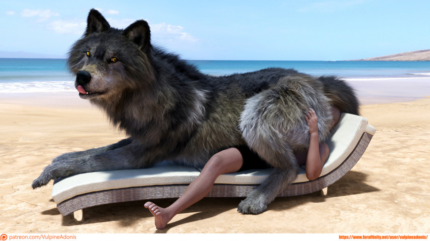 16:9 2021 3d_(artwork) 5_fingers 5_toes ambiguous_gender anal bald beach bench bestiality bottomwear bottomwear_only butt canid canine canis clothed clothing day digital_media_(artwork) duo face_in_ass facesitting feet feral fingers fur grey_body grey_fur human human_on_feral interspecies looking_back lying lying_on_another male male/ambiguous mammal nude on_front oral outside rimming sand seaside sex shorts shorts_only size_difference sky straddling teeth text toes tongue tongue_out url vulpineadonis water widescreen wolf yellow_eyes