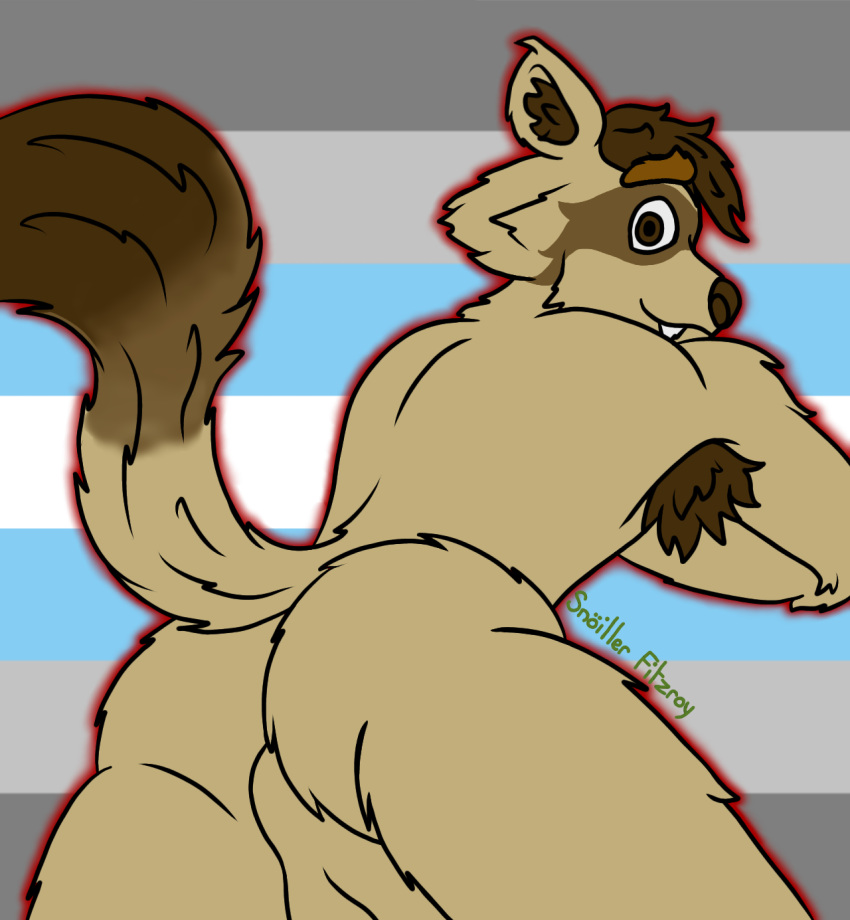 :3 anthro armpit_hair backsack balls biped body_hair brown_body brown_eyes brown_fur brown_hair brown_nose butt cute_fangs demiboy_pride_colors digital_media_(artwork) dipstick_tail domestic_ferret eyebrow_through_hair eyebrows fangs fur genitals hair hi_res hybrid inner_ear_fluff leaning lgbt_pride looking_at_viewer looking_back looking_back_at_viewer male mammal markings multicolored_tail mustela mustelid musteline nude perineum presenting presenting_hindquarters pride_color_background pride_colors procyonid raccoon raised_tail simple_background smile smiling_at_viewer snoiller_fitzroy snoiller_fitzroy_(artist) solo tail_markings tan_body tan_fur teeth translucent translucent_hair true_musteline tuft