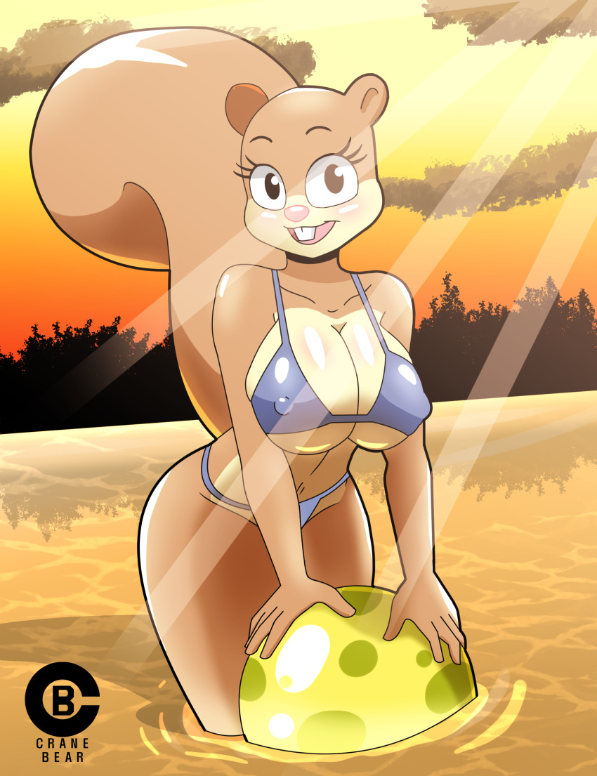 absurd_res anthro ball beach_ball bent_over big_breasts bikini blush breast_squish breasts clothing dark_templar_(artist) female hi_res huge_breasts inflatable looking_at_viewer mammal nickelodeon nipple_outline partially_submerged rodent sandy_cheeks sciurid smile solo spongebob_squarepants squish swimwear tree_squirrel