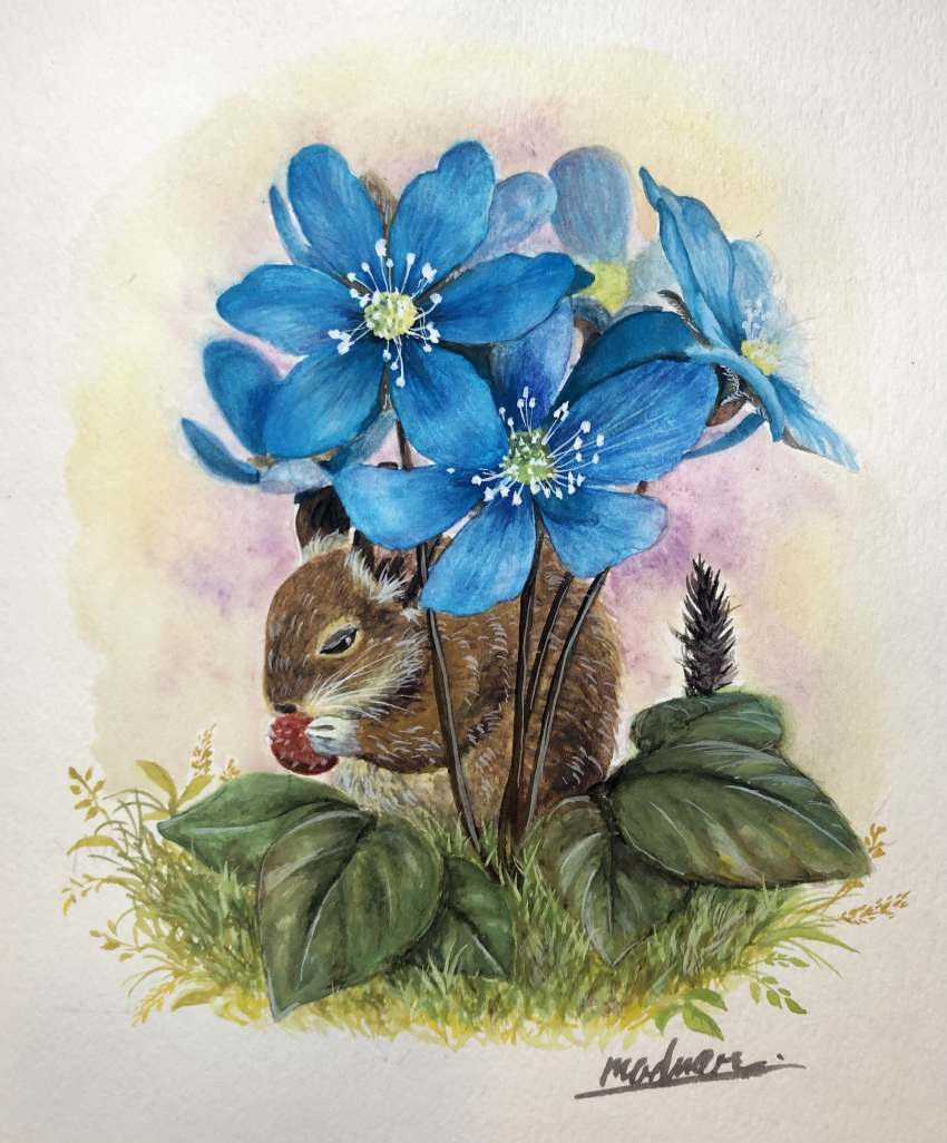 absurd_res ambiguous_gender berry brown_body brown_fur eating feral flower food fruit fur grass hi_res holding_food holding_object leaf madmar mammal painting_(artwork) plant rodent sciurid signature solo strawberry traditional_media_(artwork) watercolor_(artwork)