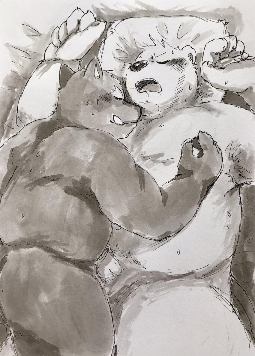 2021 akatadobuchiki anthro bed belly blush bodily_fluids butt duo eyes_closed furniture genitals hi_res humanoid_hands kemono lying male male/male mammal monochrome overweight overweight_male penis pillow sleeping suid suina sus_(pig) sweat teeth ursid wild_boar