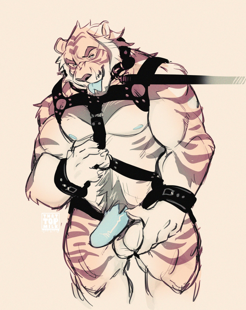 absurd_res anthro balls bdsm beard bearlyfeline bedroom_eyes biceps blue_penis body_hair brown_stripes collar facial_hair felid fingernails forked_tongue fur genitals happy_trail harness hi_res holding_balls leash male mammal musclegut muscular muscular_anthro muscular_male nails narrowed_eyes nipples nude open_mouth pantherine pecs penis pubes quads seductive simple_background smile solo striped_body striped_fur stripes tan_body tan_fur tiger tongue tongue_out wrist_cuff