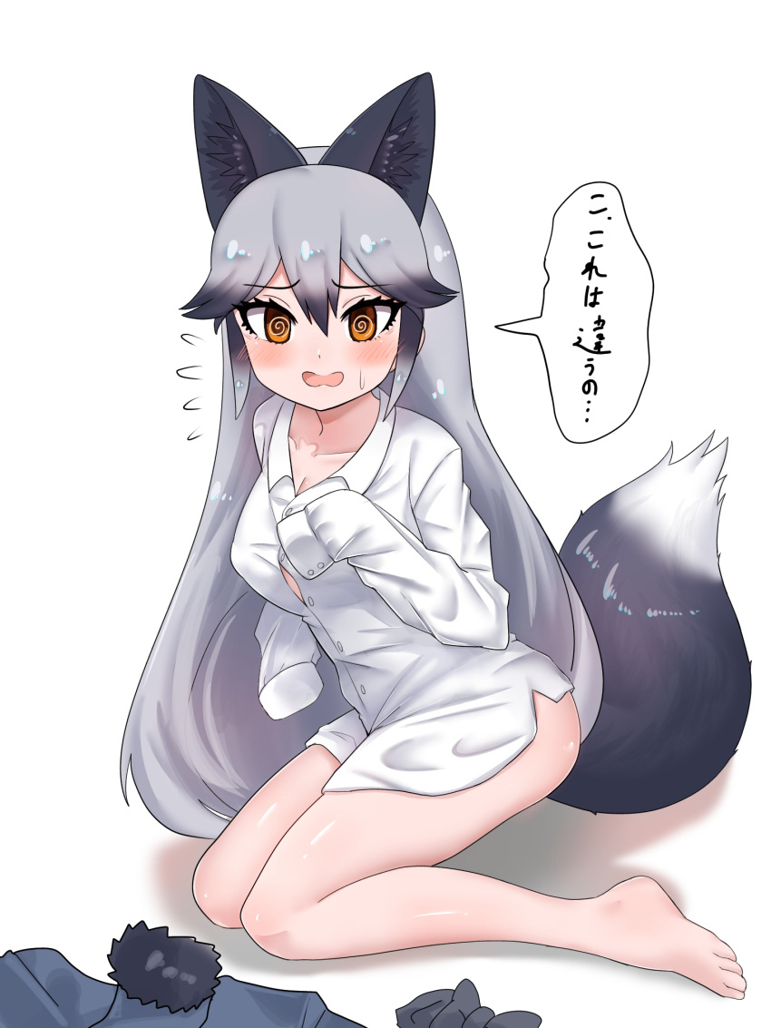 1girl @_@ animal_ears aramaru bangs barefoot borrowed_garments brown_eyes clothes_removed commentary eyebrows_visible_through_hair flying_sweatdrops fox_ears fox_tail frown fur_collar grey_hair highres kemono_friends long_hair looking_at_viewer naked_shirt no_pants open_mouth shadow shirt silver_fox_(kemono_friends) simple_background sleeves_past_fingers sleeves_past_wrists solo sweatdrop tail translated very_long_hair white_background