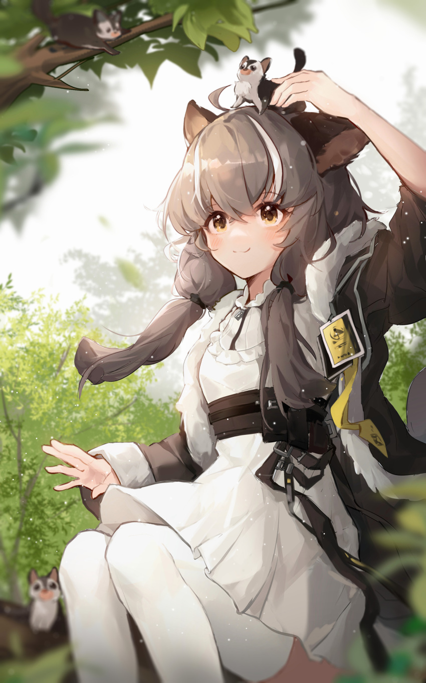 1girl absurdres animal_ears animal_on_head animal_request arknights arm_up black_jacket branch brown_eyes brown_hair closed_mouth commentary_request day dress feet_out_of_frame hakuto_kinkinko highres honeyberry_(arknights) jacket long_hair long_sleeves multicolored_hair on_head open_clothes open_jacket outdoors short_sleeves sitting smile solo streaked_hair thighhighs white_dress white_hair white_legwear