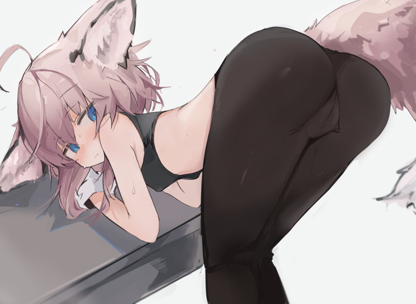 1girl ahoge alternate_costume animal_ears arknights ass bent_over black_bra black_legwear blue_eyes blush bra breasts closed_mouth commentary covered_nipples crotch_seam eyebrows_visible_through_hair feet_out_of_frame fox_ears fox_girl fox_tail from_behind gloves grey_background hair_between_eyes highres looking_at_viewer looking_back medium_hair mikojin pantyhose pink_hair simple_background small_breasts solo sports_bra standing sussurro_(arknights) sweat tail underwear white_gloves