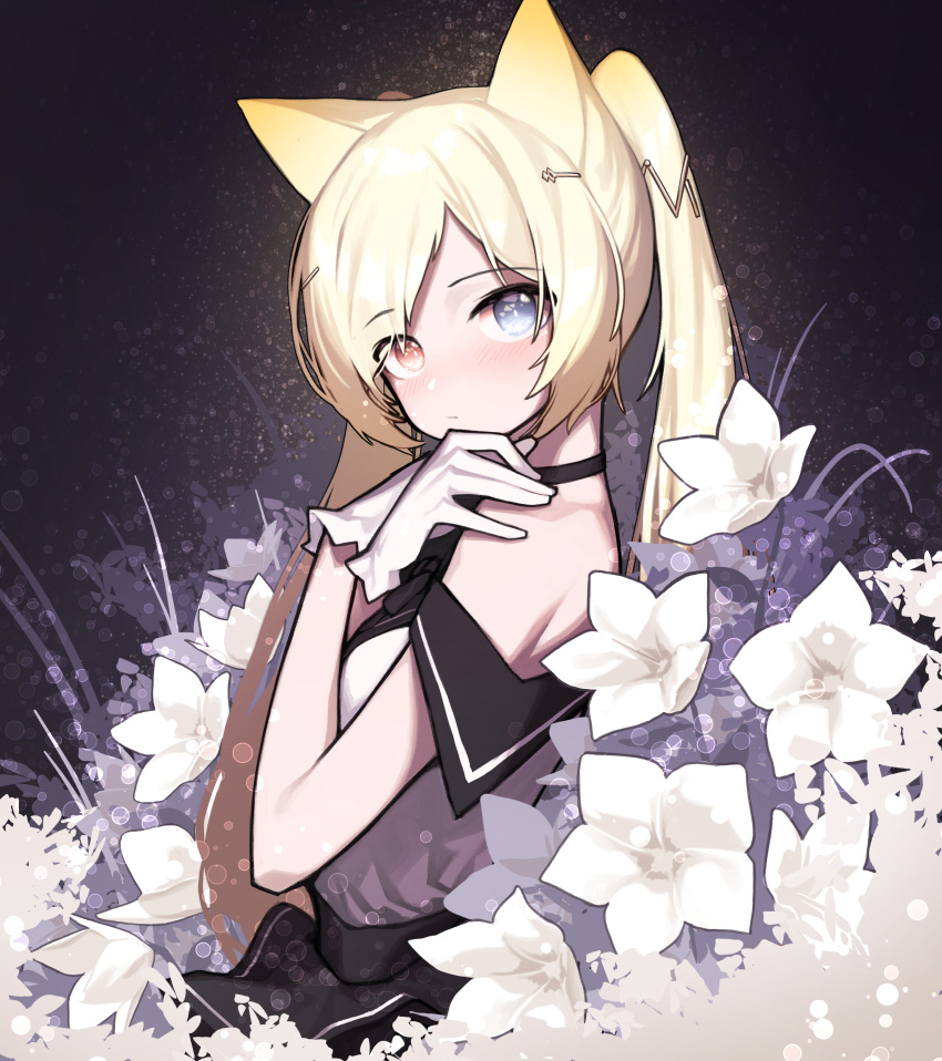 1girl absurdres animal_ears arknights bangs bare_shoulders beudelb black_choker blonde_hair blue_eyes blush cat_ears choker commentary_request dark_background dress eyebrows_visible_through_hair flower from_side gloves hair_ornament hairclip hands_on_own_shoulders heterochromia highres korean_commentary long_hair looking_at_viewer looking_to_the_side nightmare_(arknights) nightmare_(light_and_shadow)_(arknights) off-shoulder_dress off_shoulder red_eyes solo twintails upper_body white_dress white_flower white_gloves x_arms